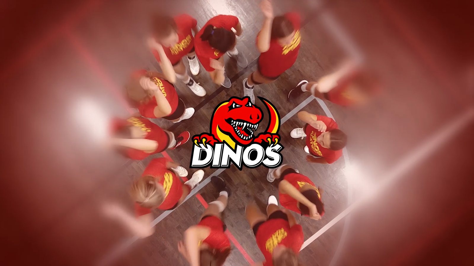 Jr. Dino's Volleyball - The Dinos