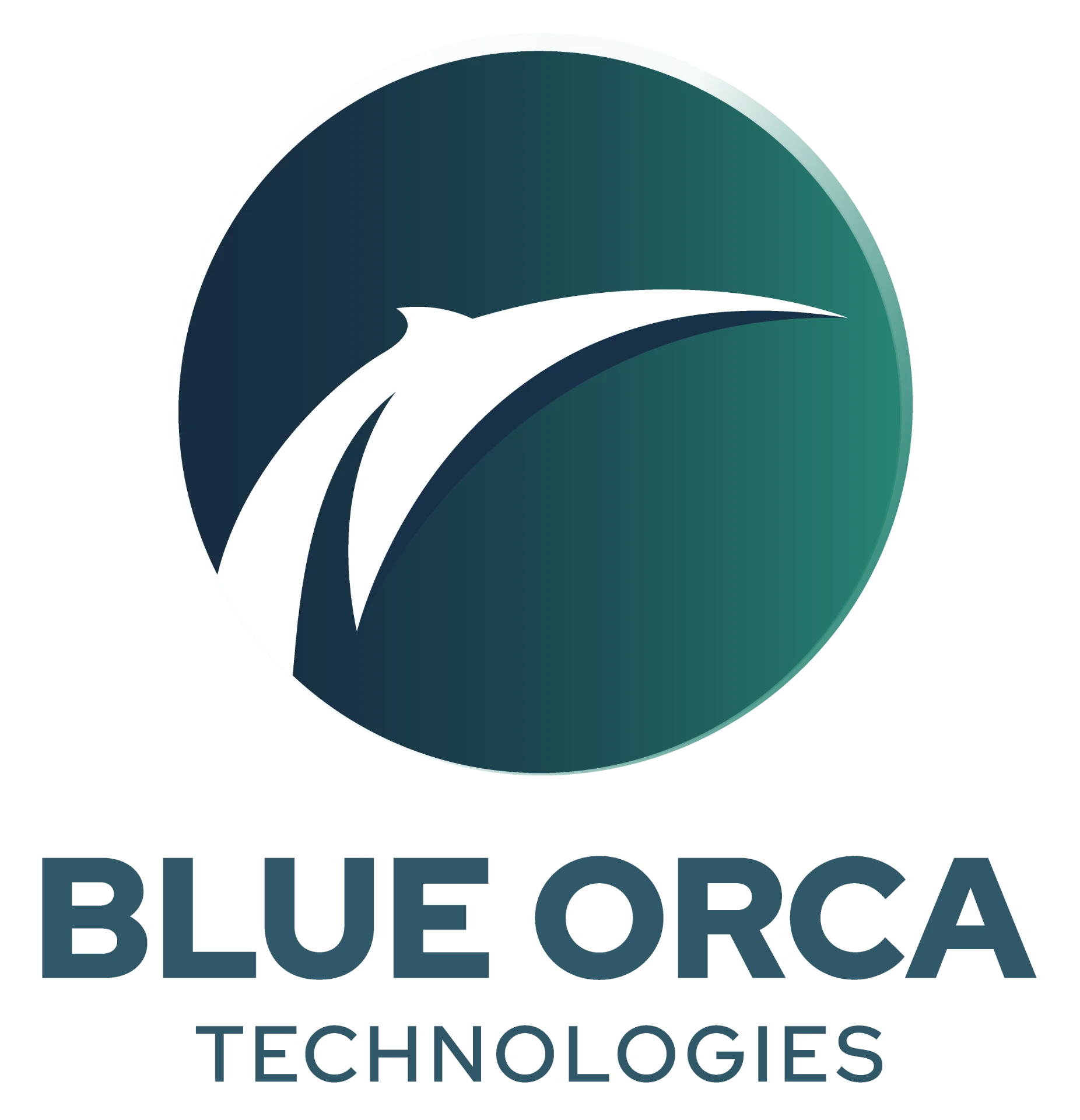 Blue Orca Technologies logo