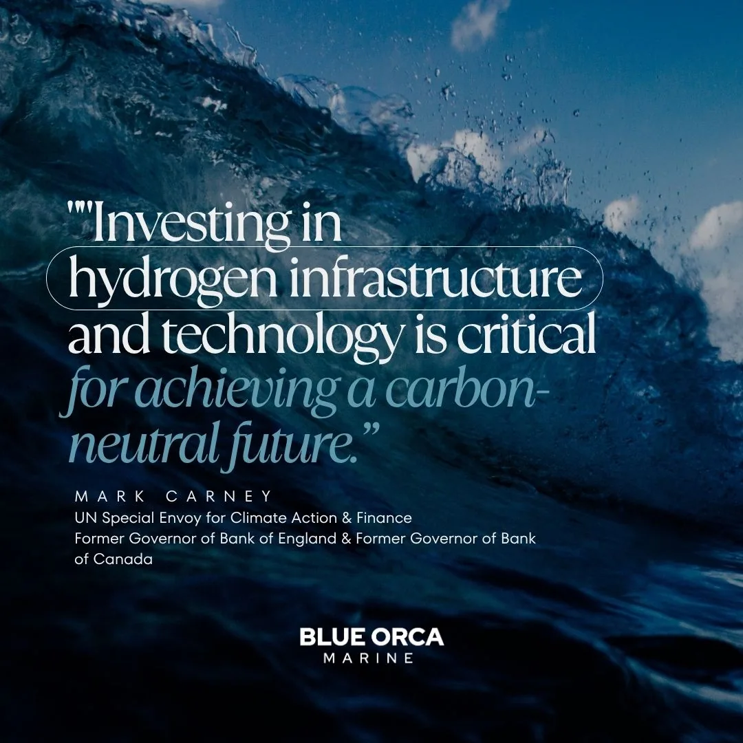 Blue Orca Technologies social design 10