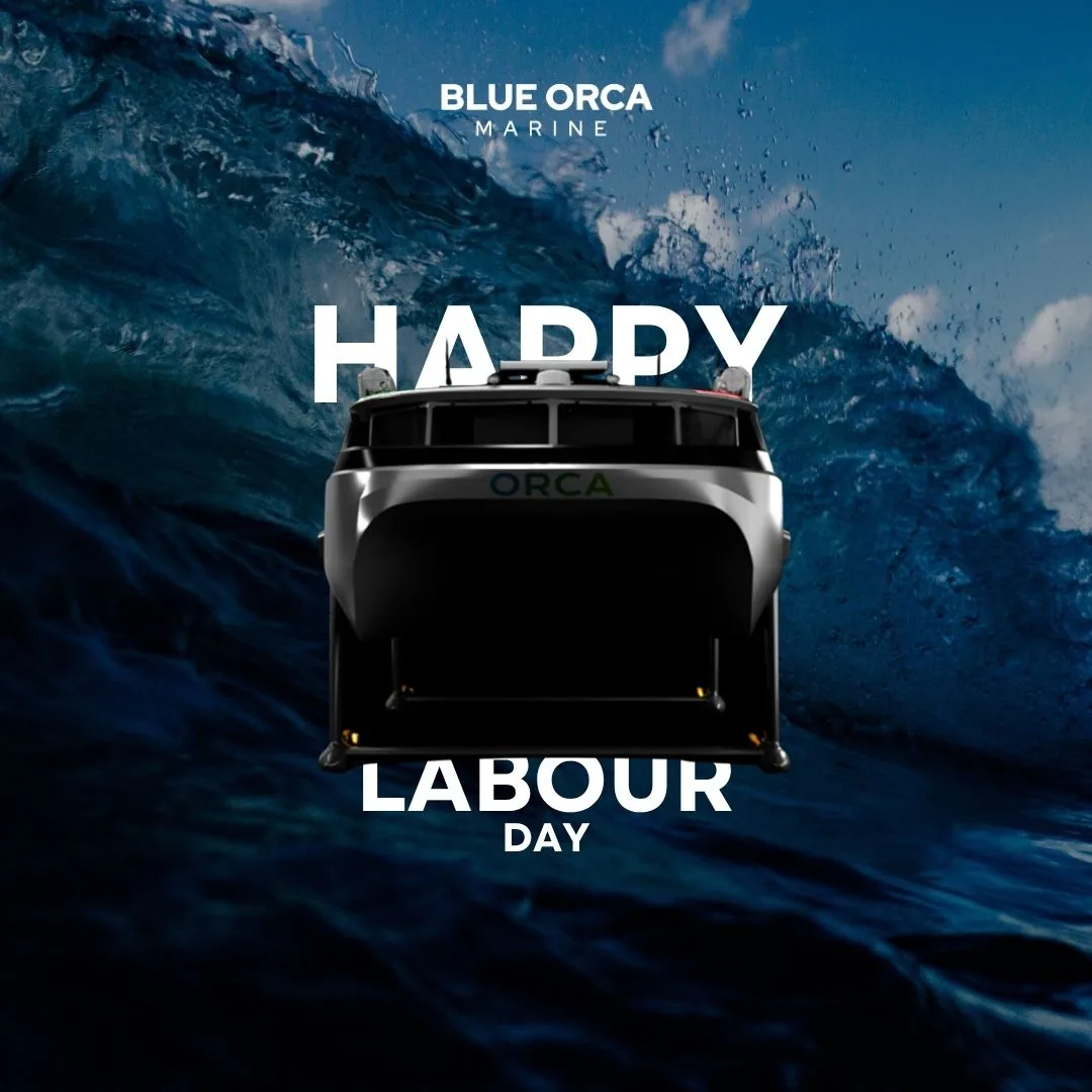 Blue Orca Technologies social design 8