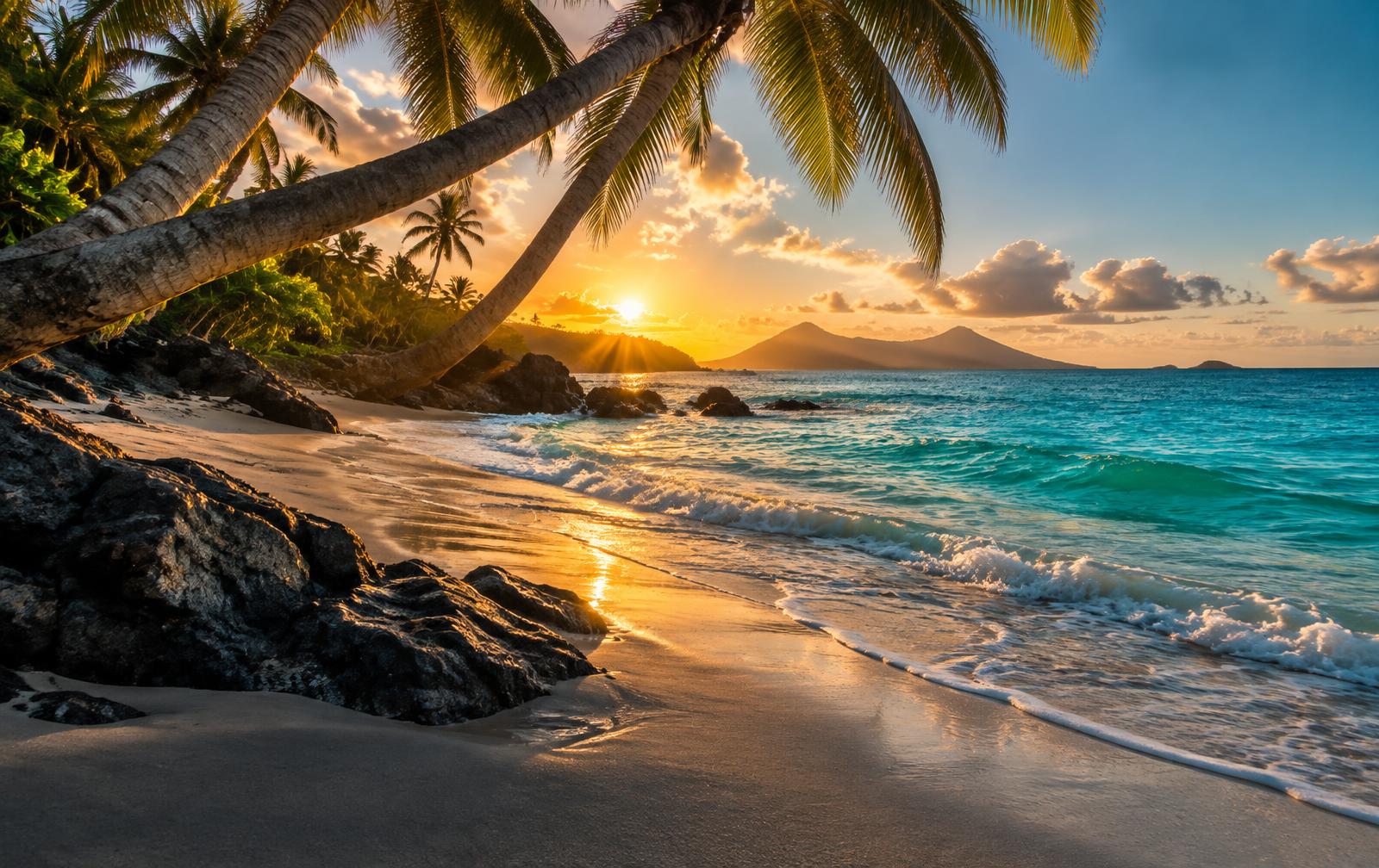 Palm-framed Caribbean beach with turquoise water at sunrise