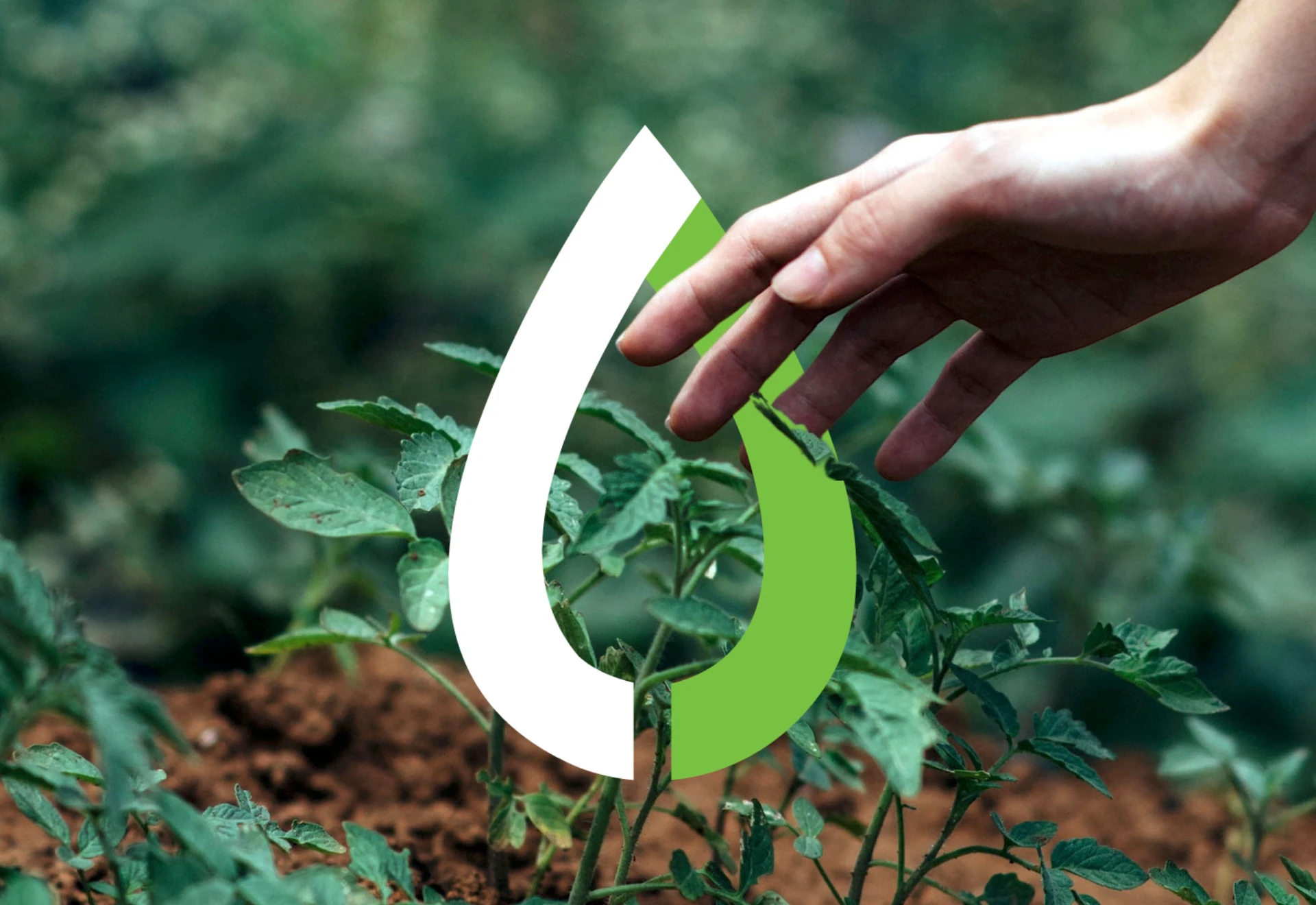 Campbell Energy (Canada) case study