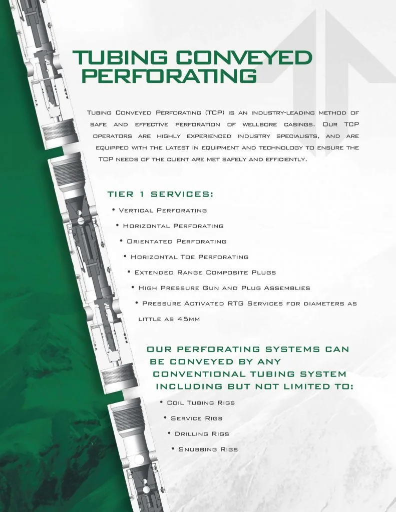 Tier 1 Energy Solutions brand mockup