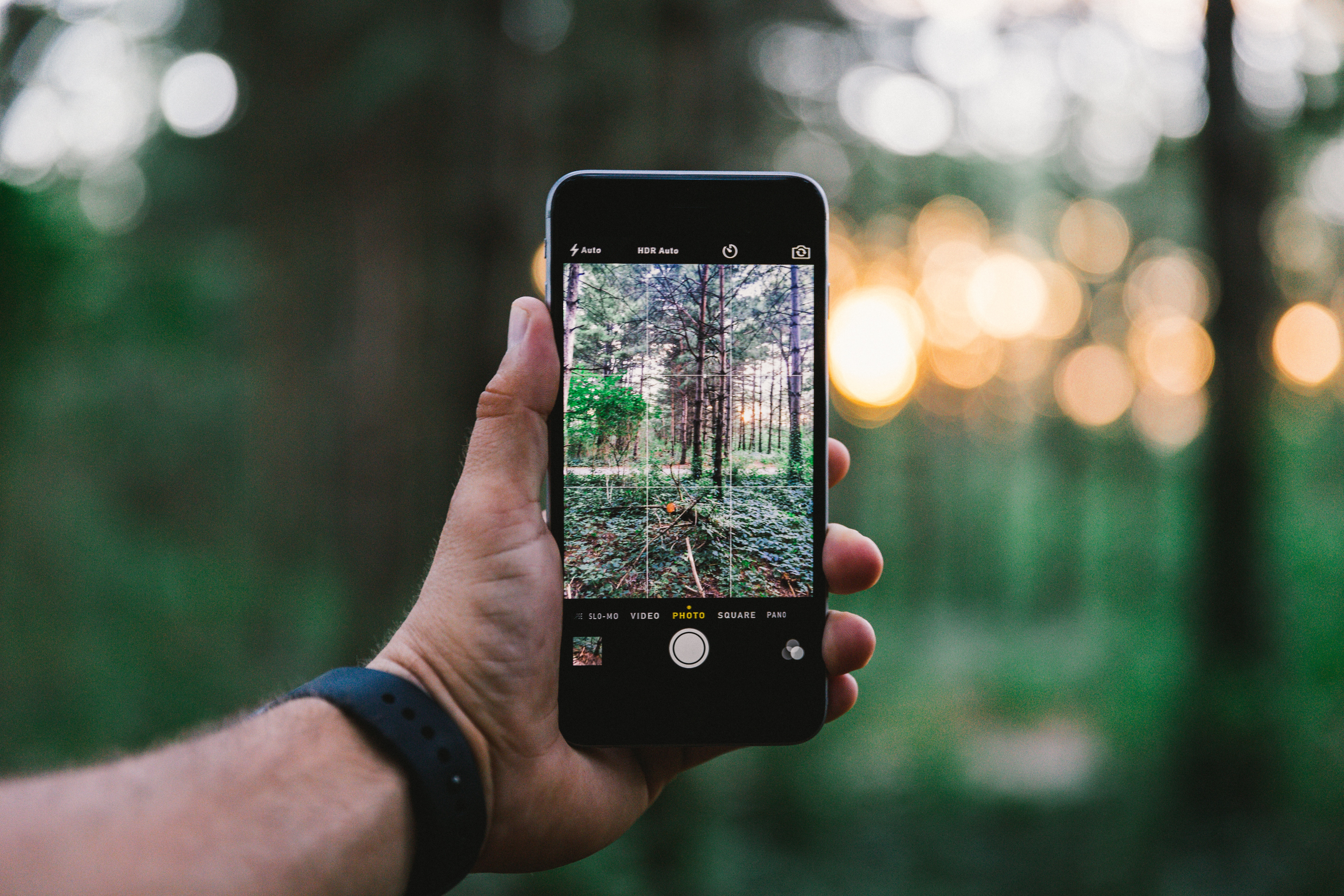 Taking a picture of the forest with a smartphone for social media marketing
