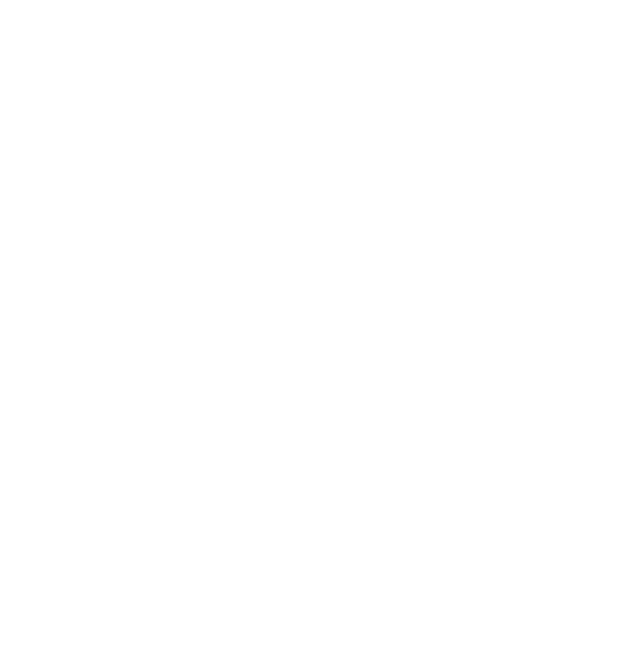 NW Sports New Wave Inc.